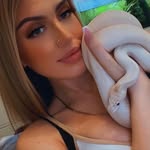 🌿 𝕋𝕒𝕪𝕝𝕠𝕣 𝕞𝕒𝕕𝕖 𝕣𝕖𝕡𝕥𝕚𝕝𝕖𝕤 🌿 - @taylormadereptiles - Instagram