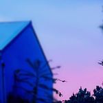 Taylor Malloy - @taylor.malloy.5015 - Instagram