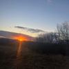 taylor.manes - @taylor.manes5 - TikTok