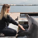 Taylor Mapes - @taylor_mapes - Instagram