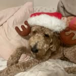 Taylor Marcoux - @taylormarcoux84 - Instagram