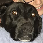 Taylor Marcus - @taylormarcus1128 - Instagram