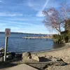 💕Taylor Marin - @alpha.went - TikTok