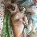 Bonnie Taylor Marlow - @littlebrook62 - Instagram