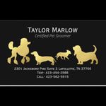 Taylor Marlow - @grooming.withtaylor - Instagram