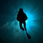 Rob Taylor McAfee - @robtmcafee - Instagram