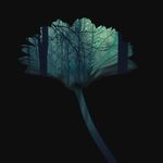 Taylor McCain - @depressed_wild_murderer - Instagram