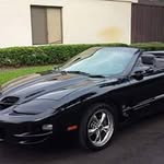 Taylor McCain - @mccaintaylor - Instagram