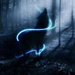 Taylor McCain - @twilightwolf42 - Instagram