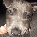 Taylor Mcfarlane - @taylor_hulk - Instagram