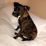 Old acount - @taylormcneffv - Instagram