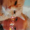 taylormcphail342 - @taylormcphail342 - TikTok