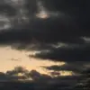 Taylor meade - @taylor.meade8 - TikTok