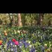 Taylor Mears - Facebook