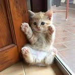 Taylor Mee - Facebook