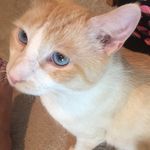 Taylor Meier - @tvm_dog17 - Instagram