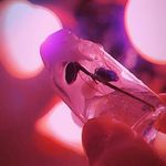 Taylor Ann Milam - @witch_craft_magix - Instagram