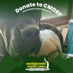 Cynthia Taylor Minks - Facebook
