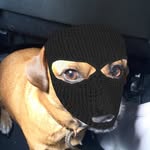 Taylor Morley - @taylor_8285543 - Instagram