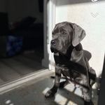 Taylor Mullen - @taylormullen05 - Instagram