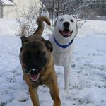 Munson & Taylor - @_.taylor.munson._ - Instagram