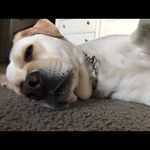 Taylor Nance - @taynancecantdance - Instagram