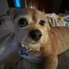 taylorneedleman - @taylorneedleman - TikTok