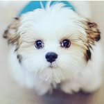 Taylor - @taylor_kennith_newland - Instagram