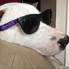 taylornorrell626 - @taylornorrell626 - TikTok