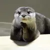 Angela Taylor Null - @angela.taylor.nul - TikTok