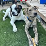 Ryder Taylor + Oakley Taylor - @ryder.oakley2 - Instagram