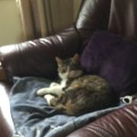 Mia Catherine Taylor Orton - @miacatherinetaylor - Instagram