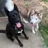 Taylor Osgood - @taylor.osgood - TikTok
