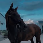 Taylor Overby - @eq.jumpers_ - Instagram
