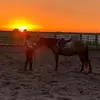 Taylor Overby - @jumping.macho - TikTok