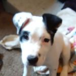 Patches taylor - @patches_taylor - Instagram