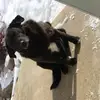 Taylor Rayne paulson - @taylor.paulson.rayne - TikTok