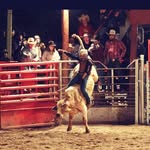 Taylor Petree - @taylorpetree7 - Instagram