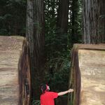 Taylor Phelps - @tayloralexanderphelps - Instagram