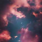 taylor pitcher - @taylorpitcher5436 - Instagram
