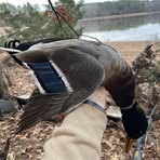 Taylor Powell - Facebook