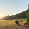 Tay P - @taylor.purdy10 - TikTok