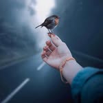 Taylor Putman - @putman1755 - Instagram