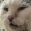 Taylor Quick - @taylor.quick62 - TikTok