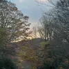 taylor.quick - @taylor.quick - TikTok