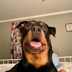 Taylor Quinlan - Facebook