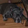 Taylor Quinlan - @taylor.quinlan7 - TikTok