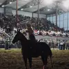 taylor - @taylor.rafeld - TikTok