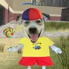 Taylor Rapp - @taylorrapp - TikTok
