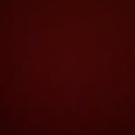 Taylor Renold - @taylorrenold - Instagram